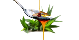 Sirop d'agave